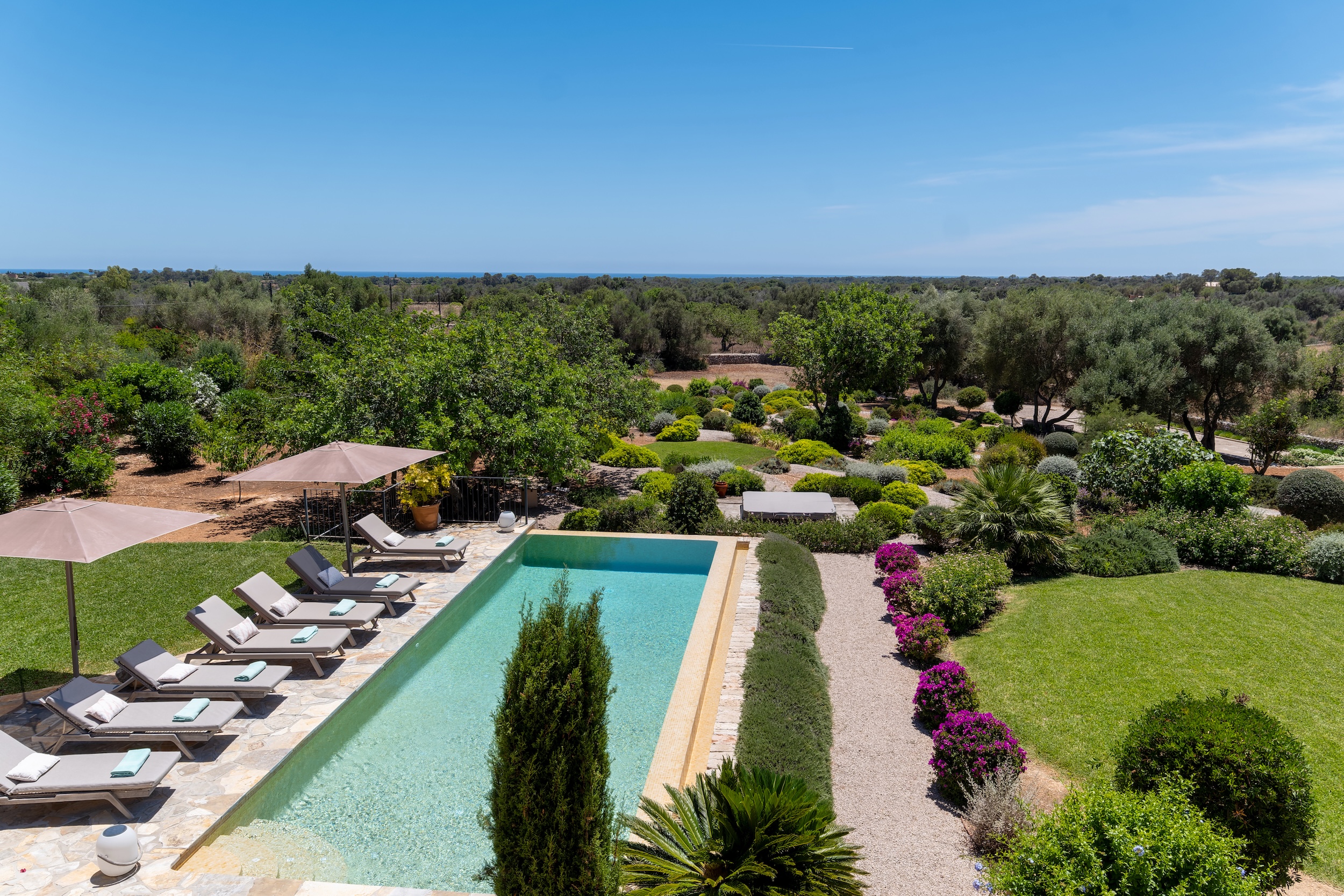 Casa Vida image 2