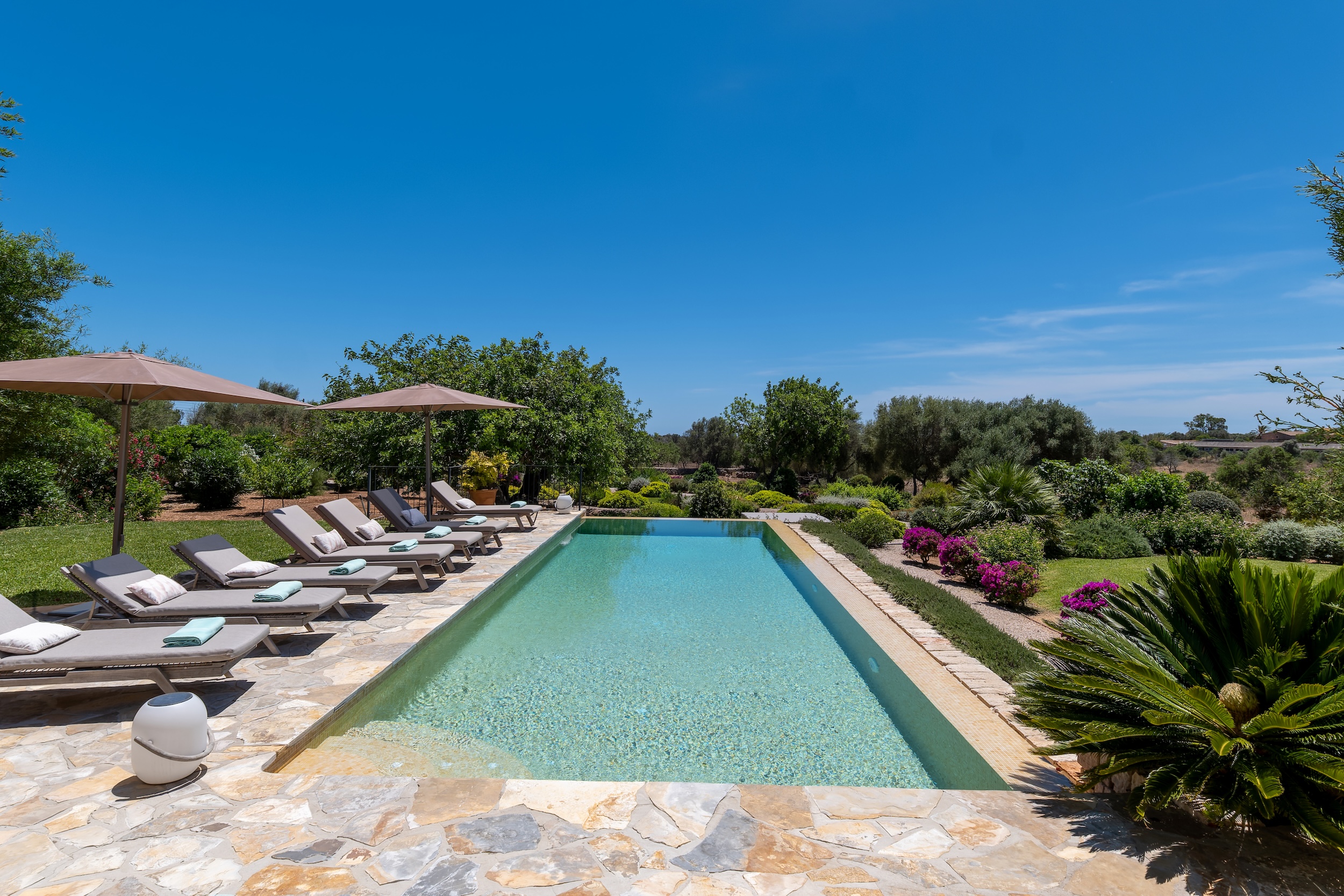 Casa Vida image 3