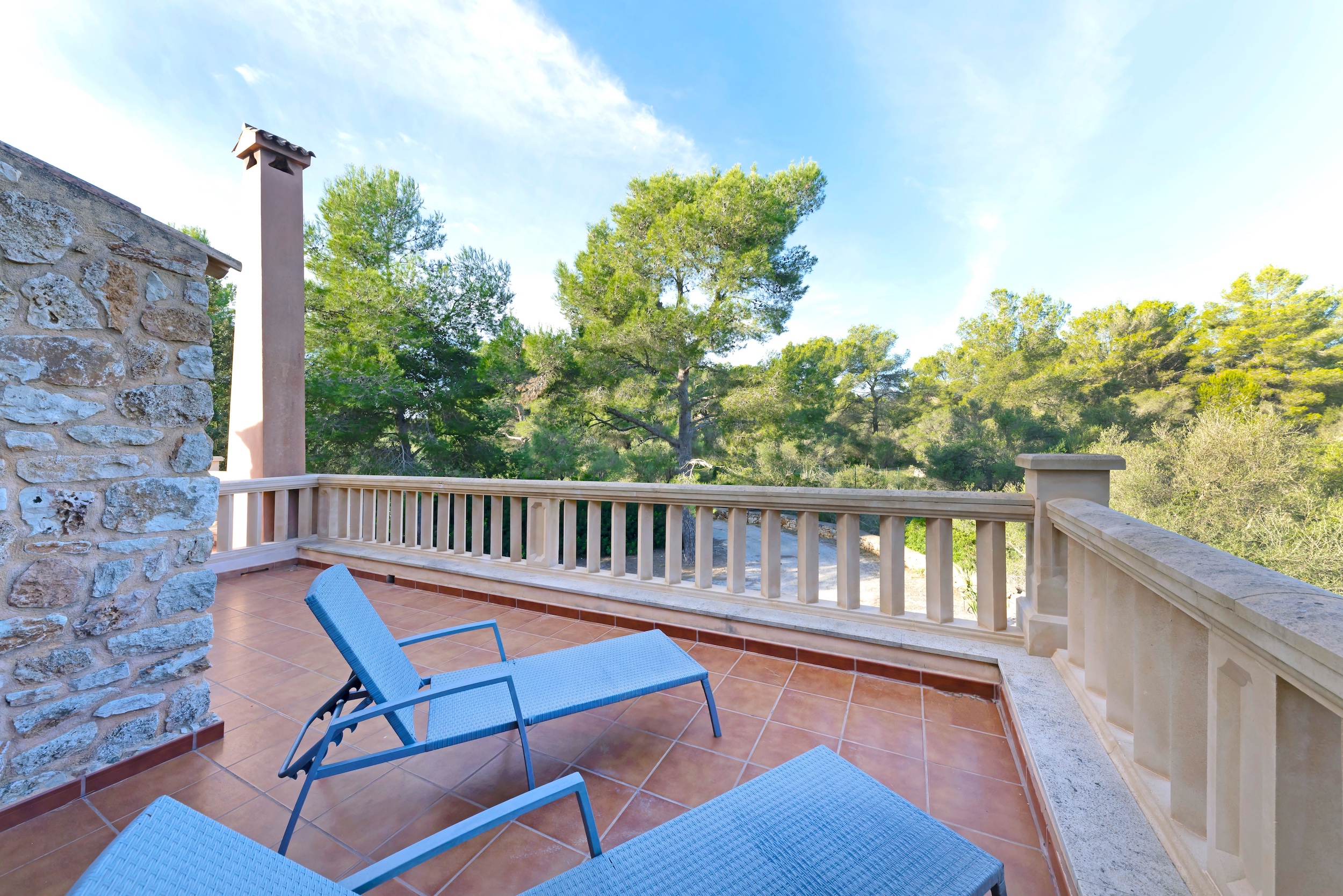 Finca Classica image 36