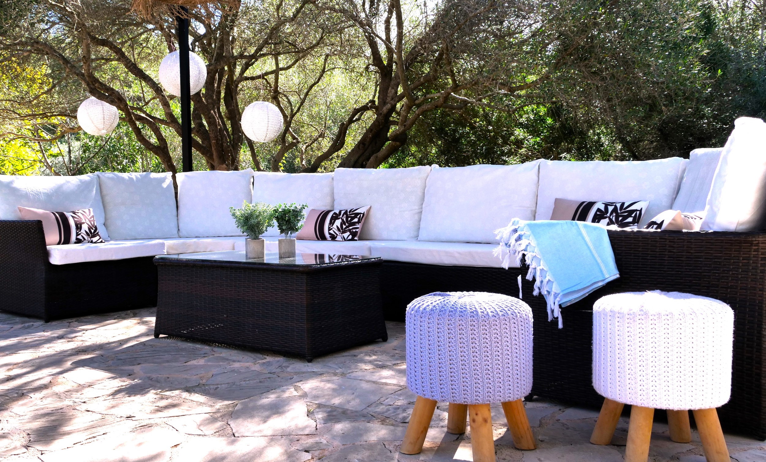Finca Classica image 41