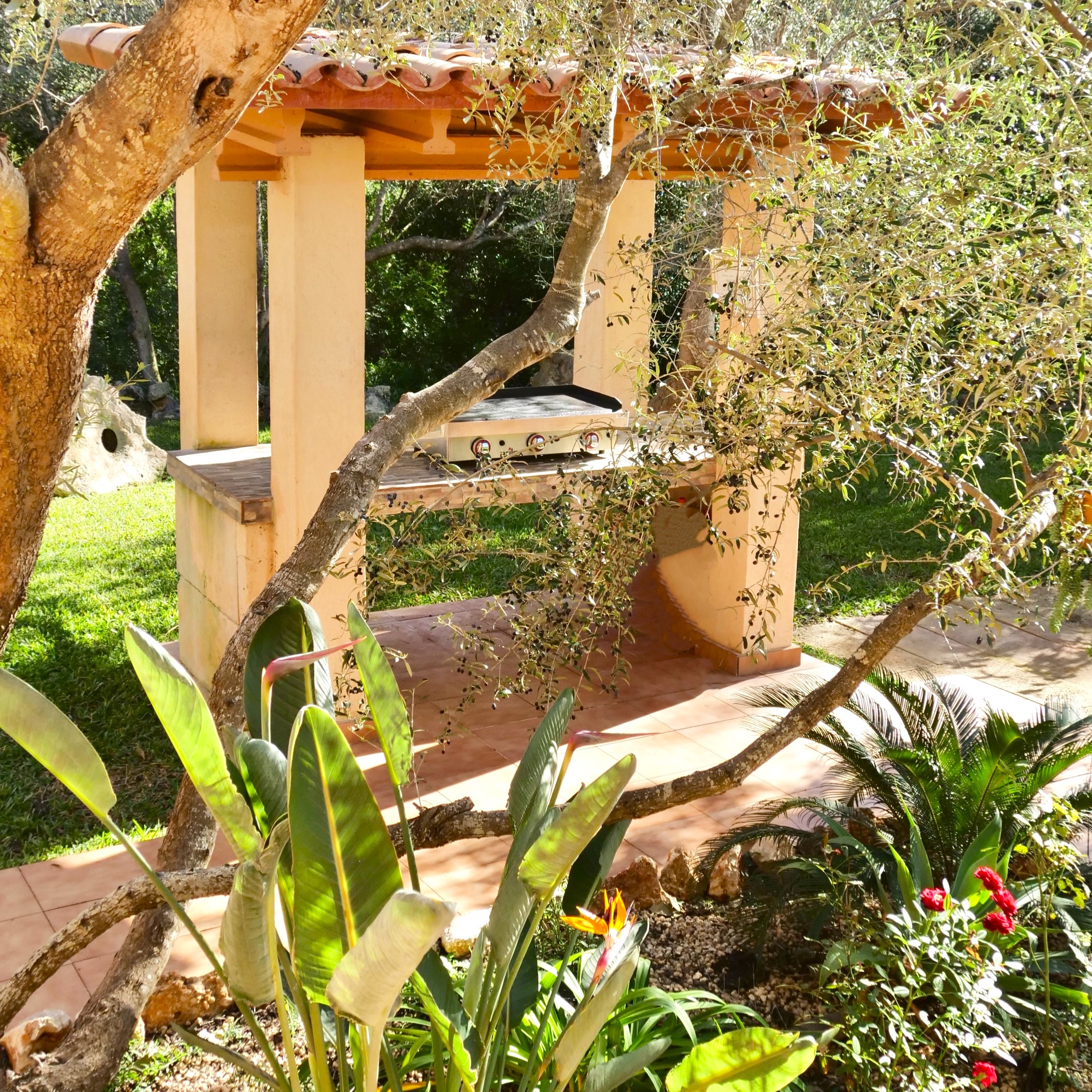 Finca Classica image 43