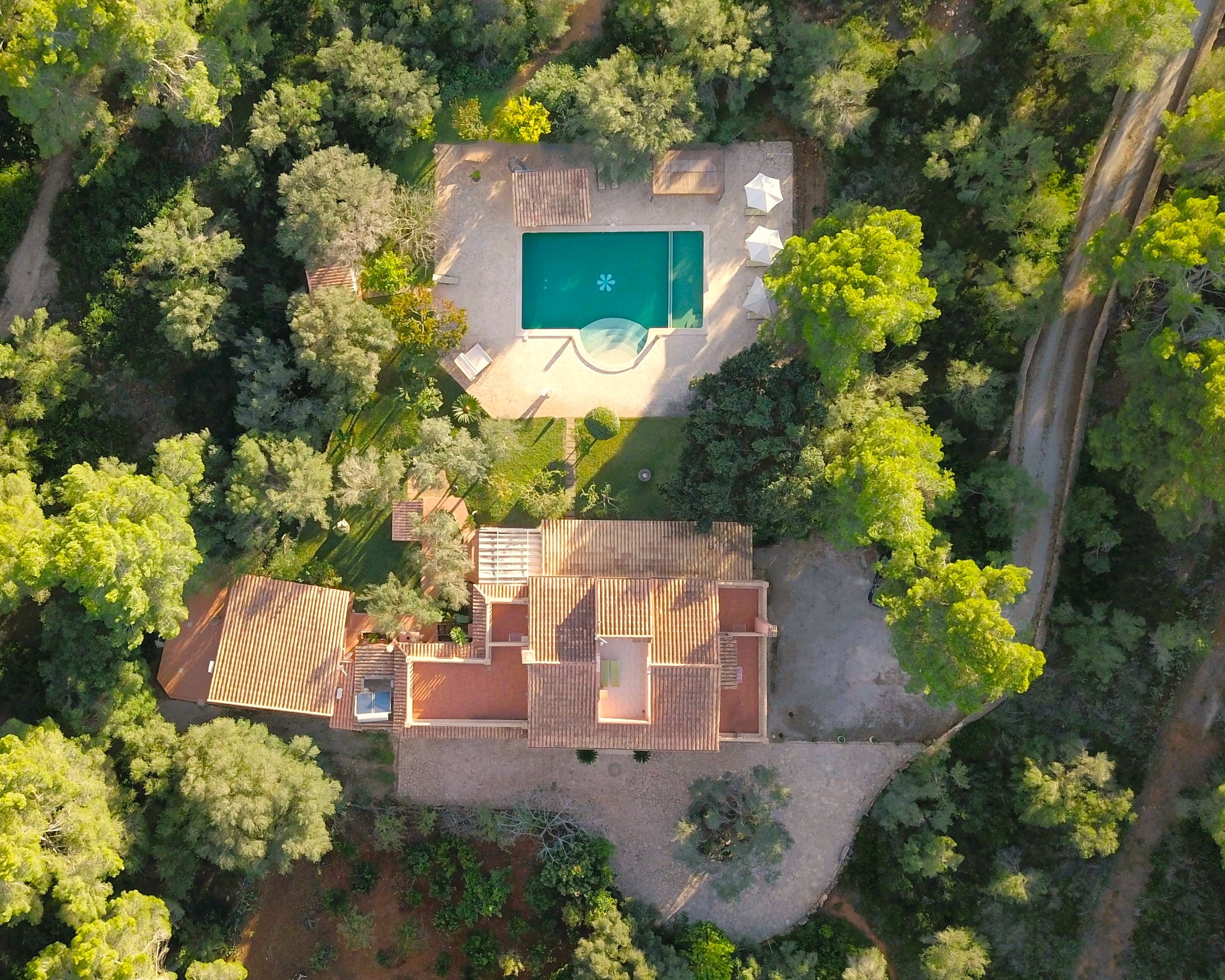 Finca Classica image 44