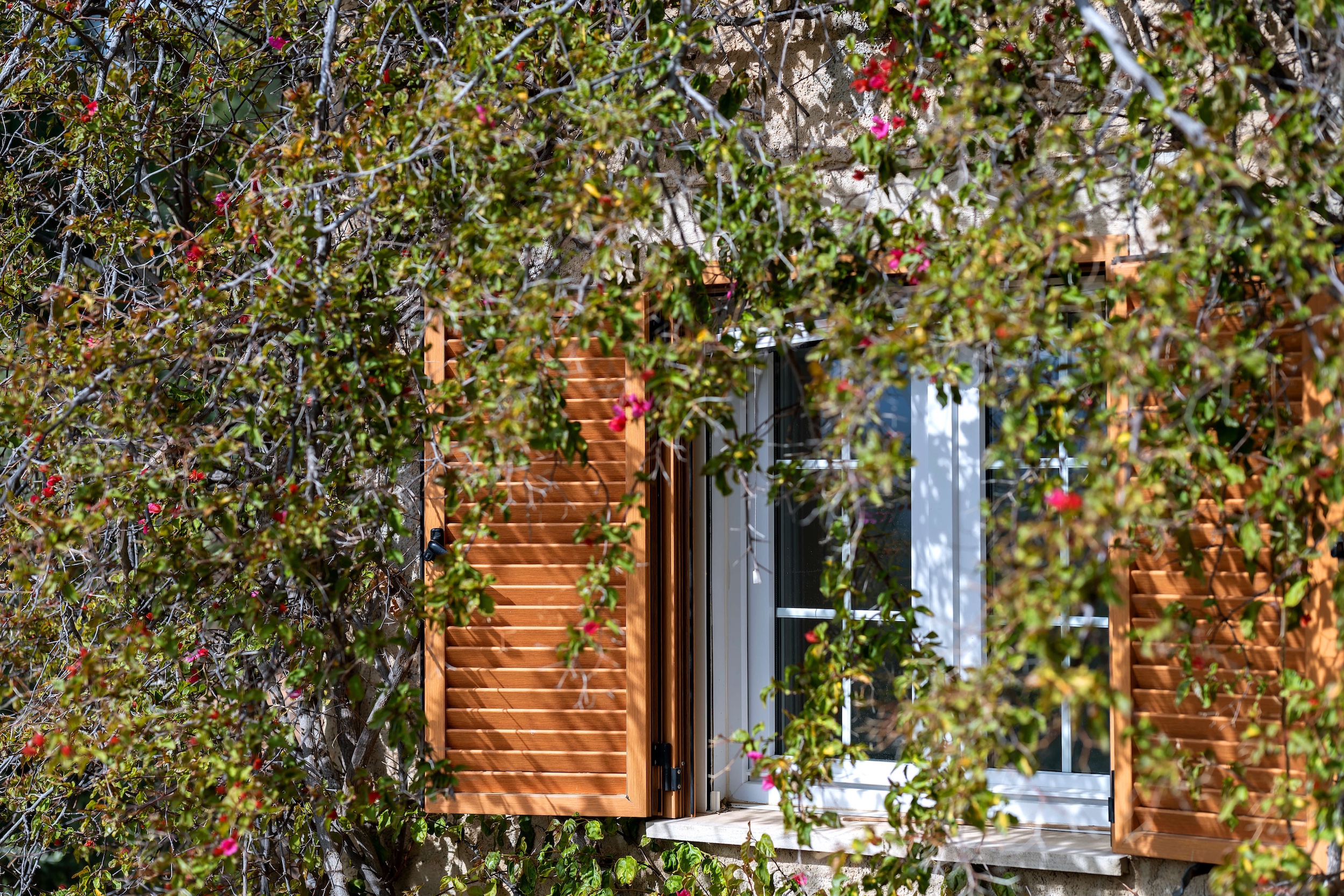 Villa Scarlett image 23
