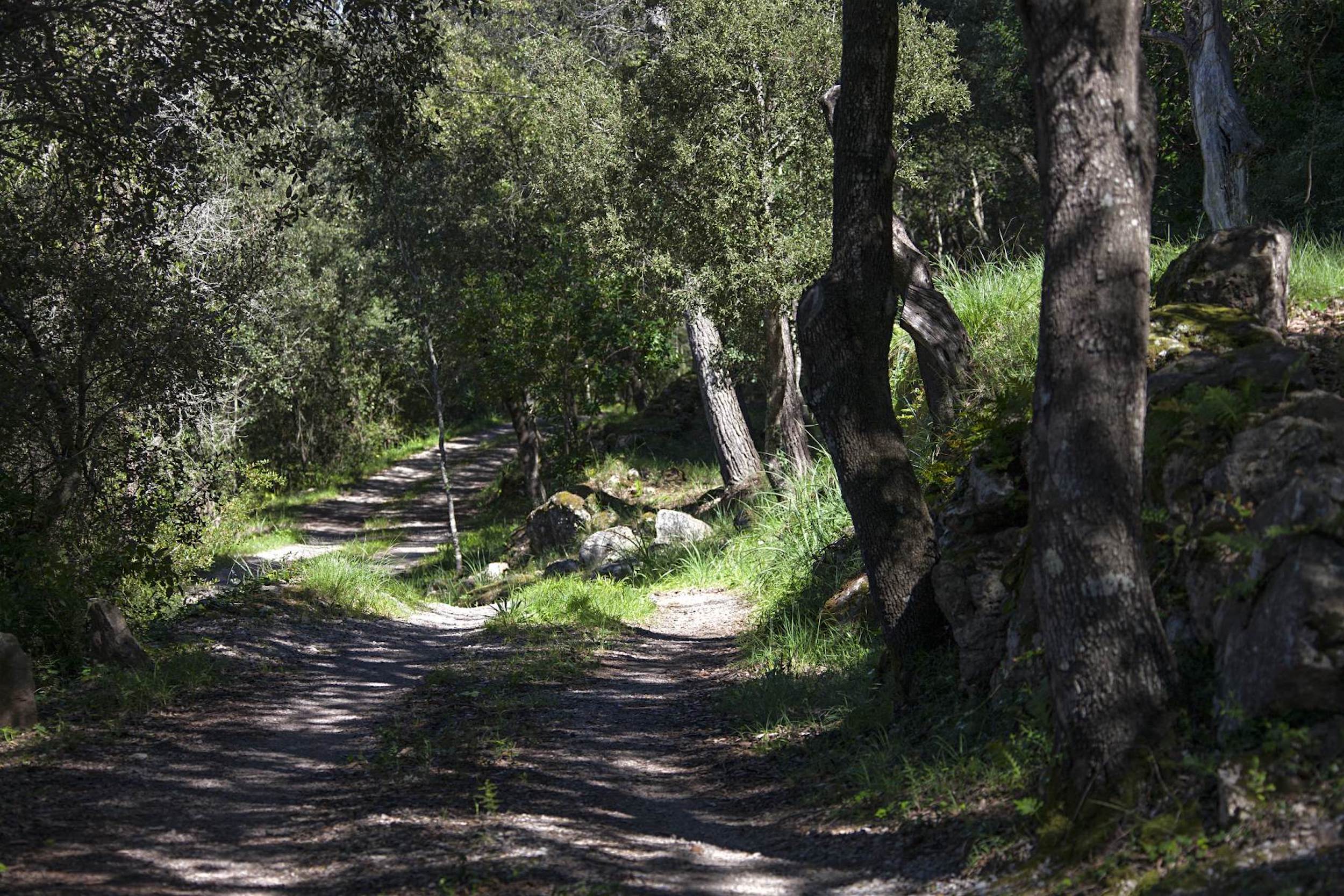 Casa Agoura image 20