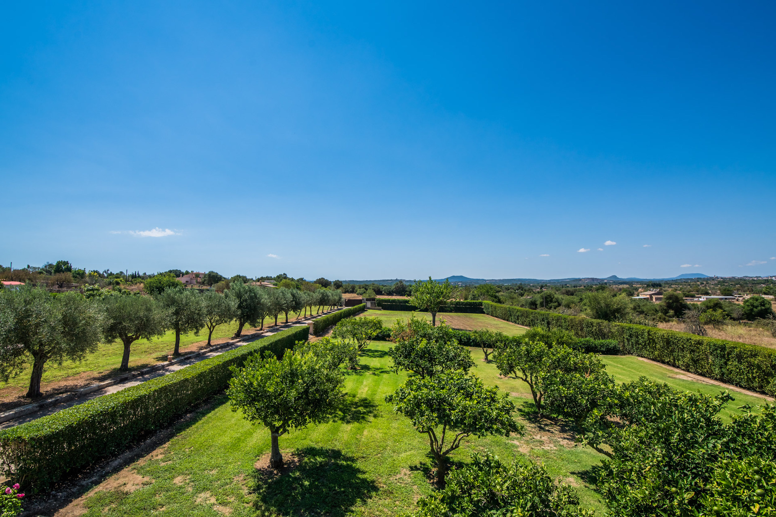 Finca Sierra image 49