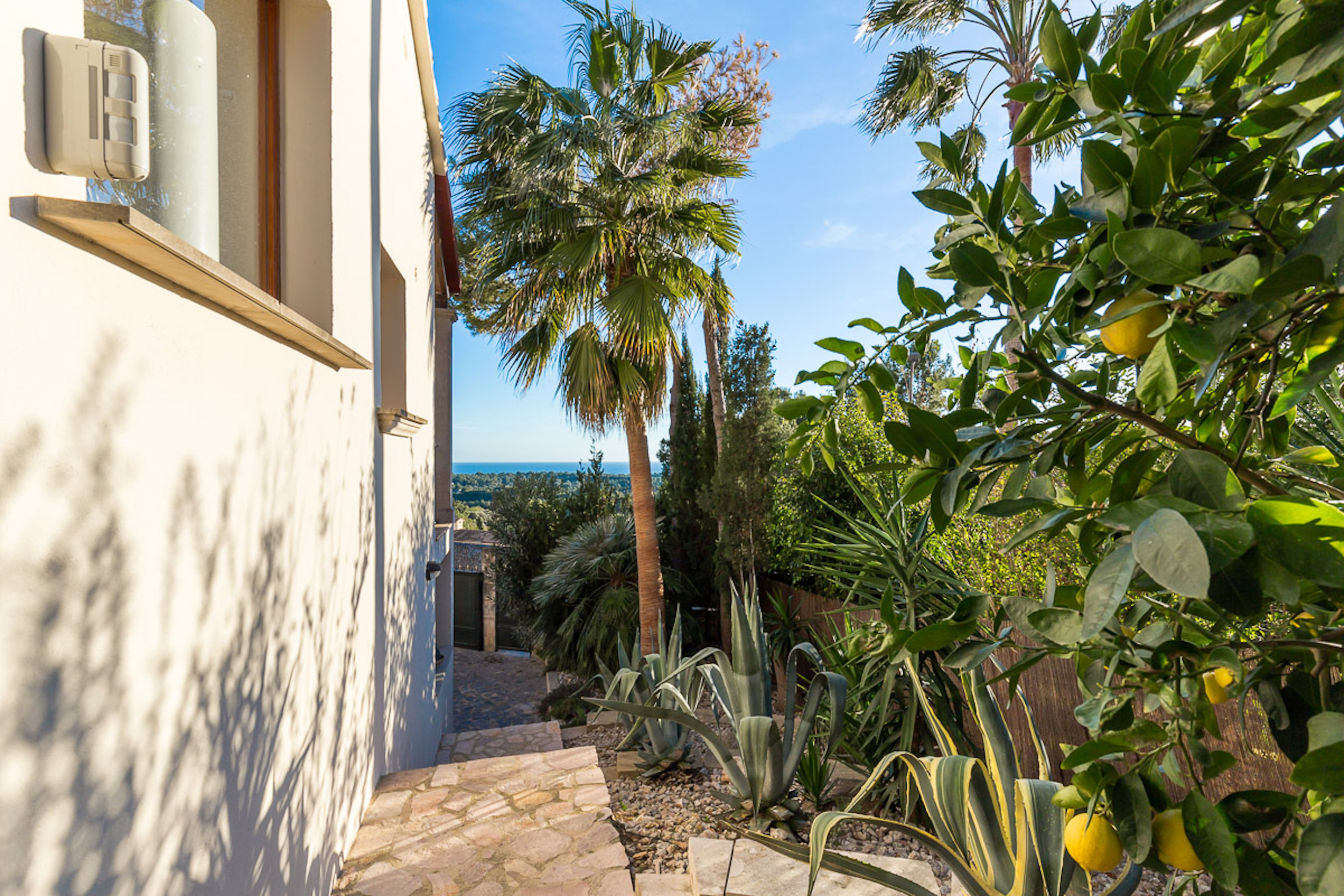 Villa Pura image 22