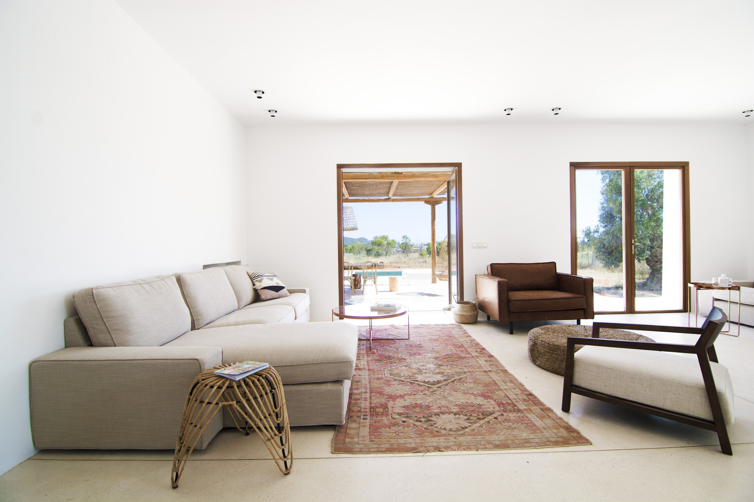 Paloma Blanca image 11