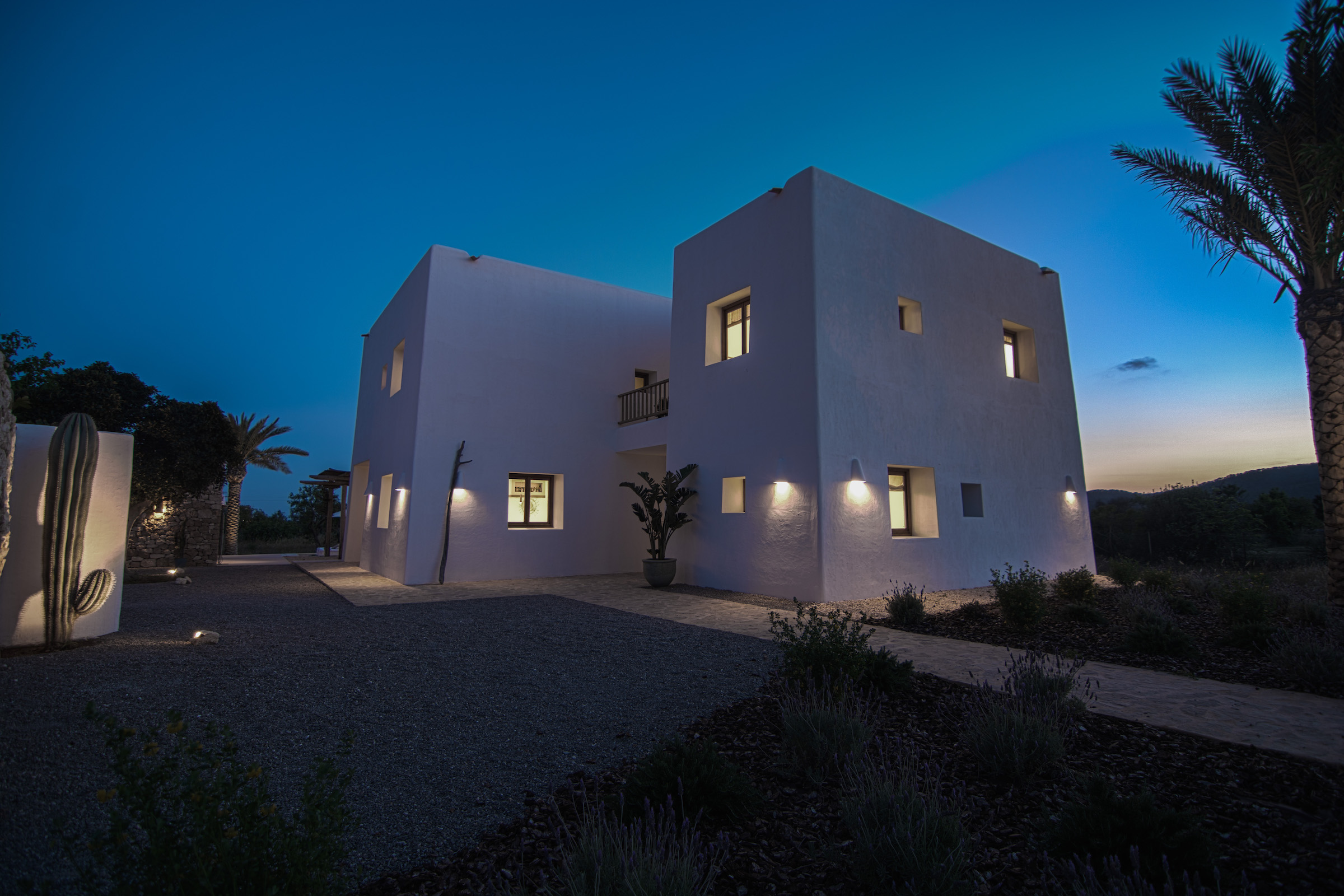 Paloma Blanca image 38
