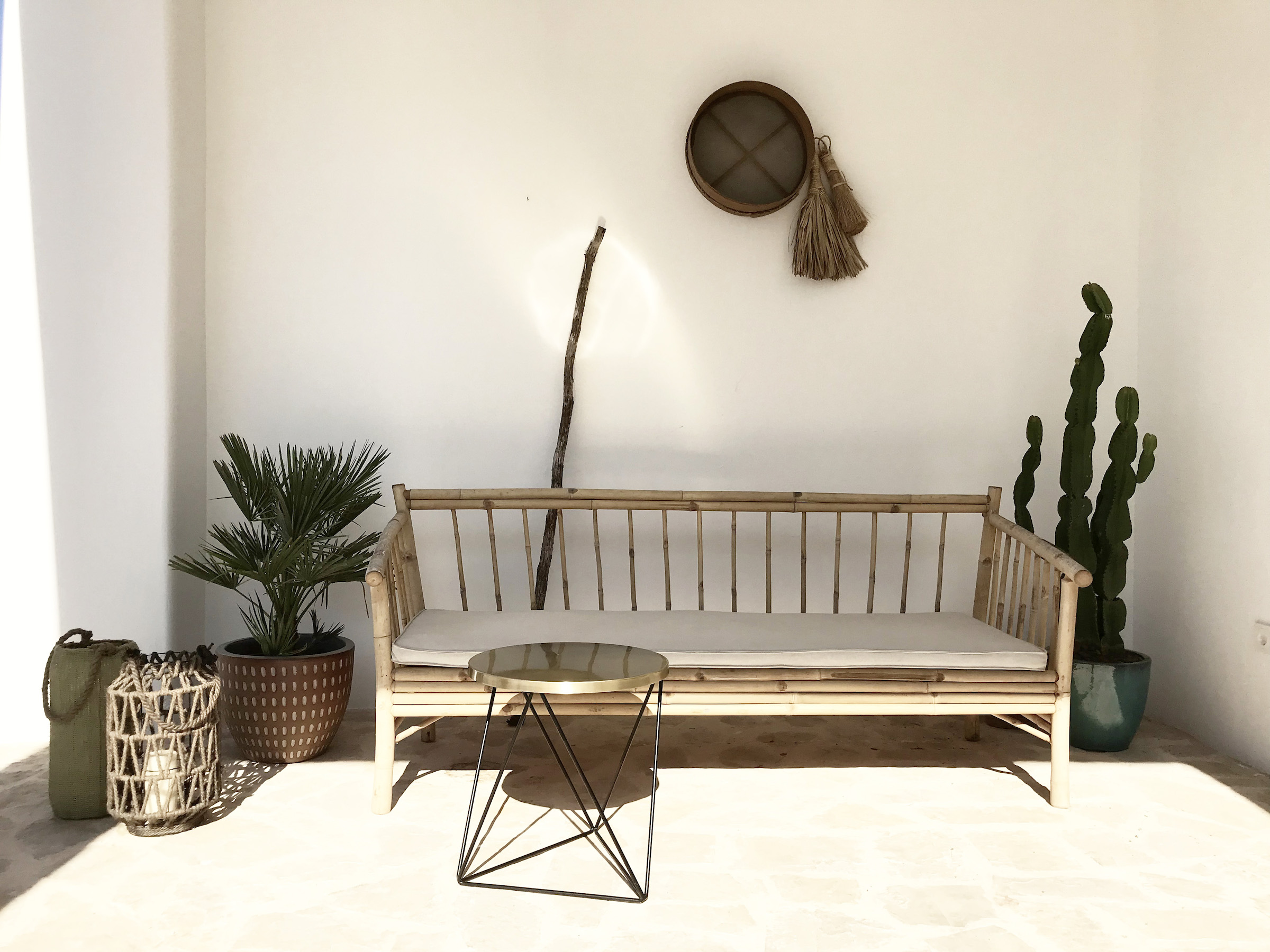 Paloma Blanca image 33