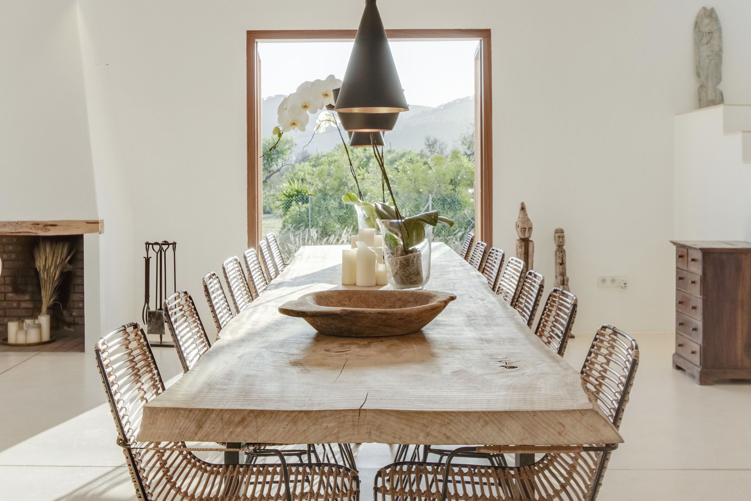 Paloma Blanca image 10