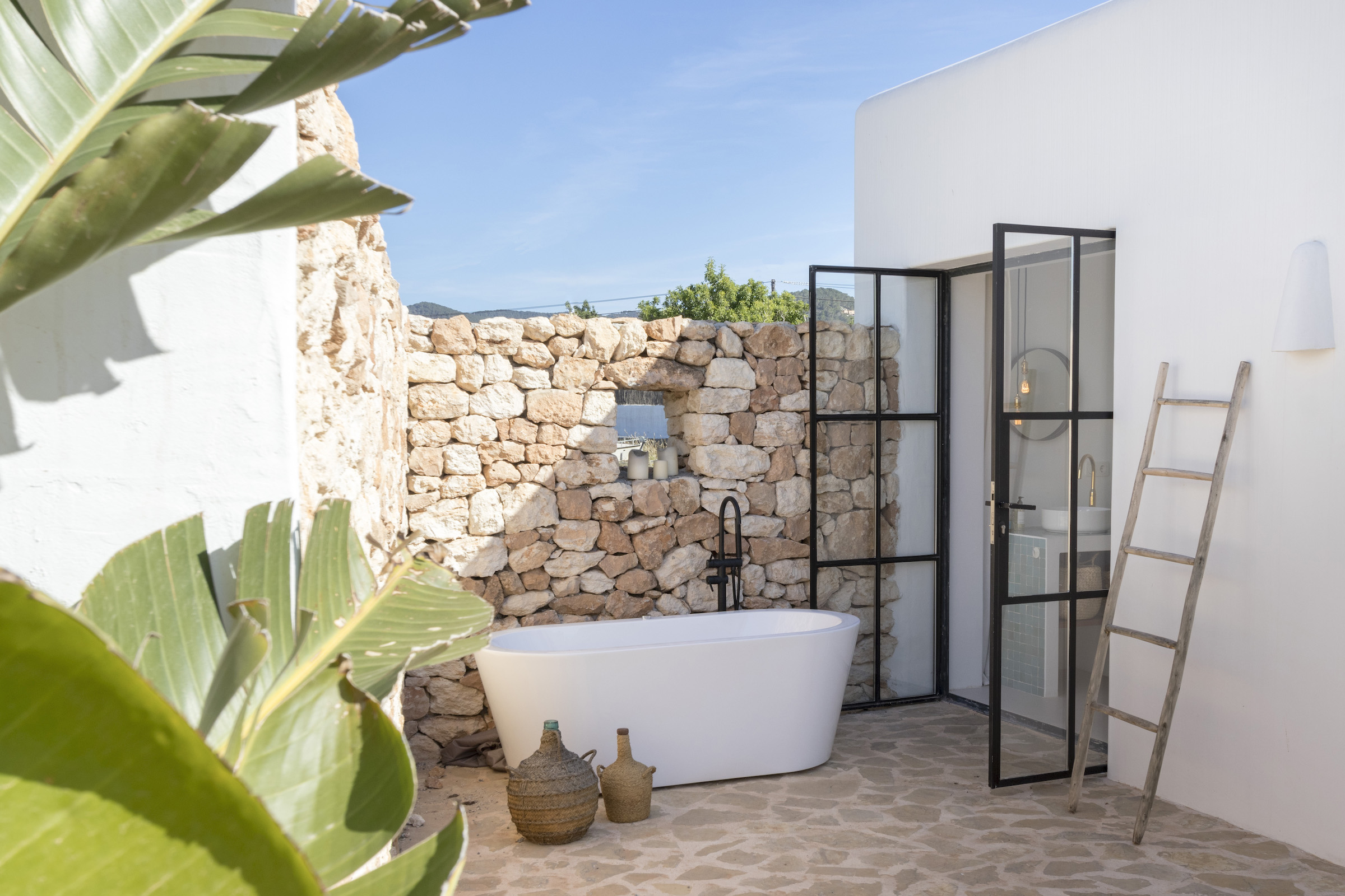 Paloma Blanca image 31