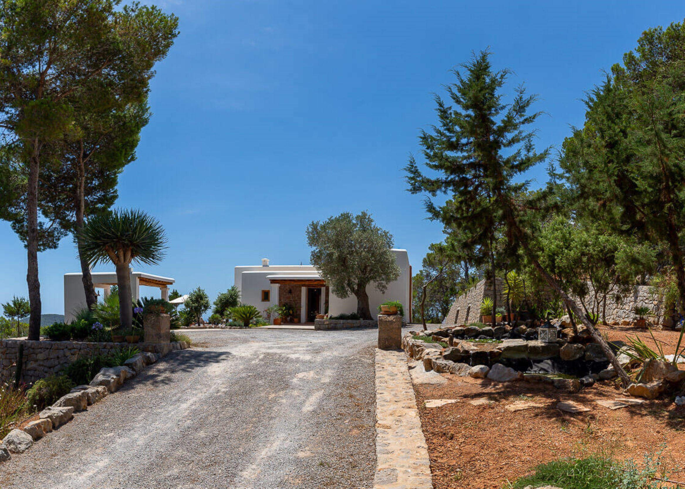 Juniper Hill image 31