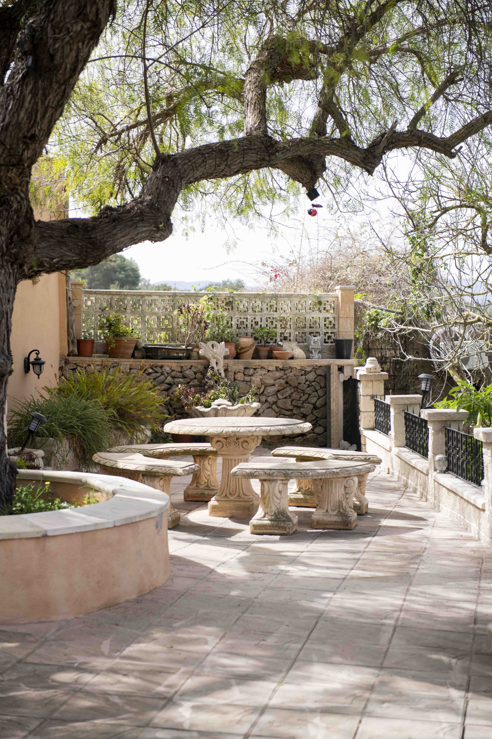 Finca Serena image 5