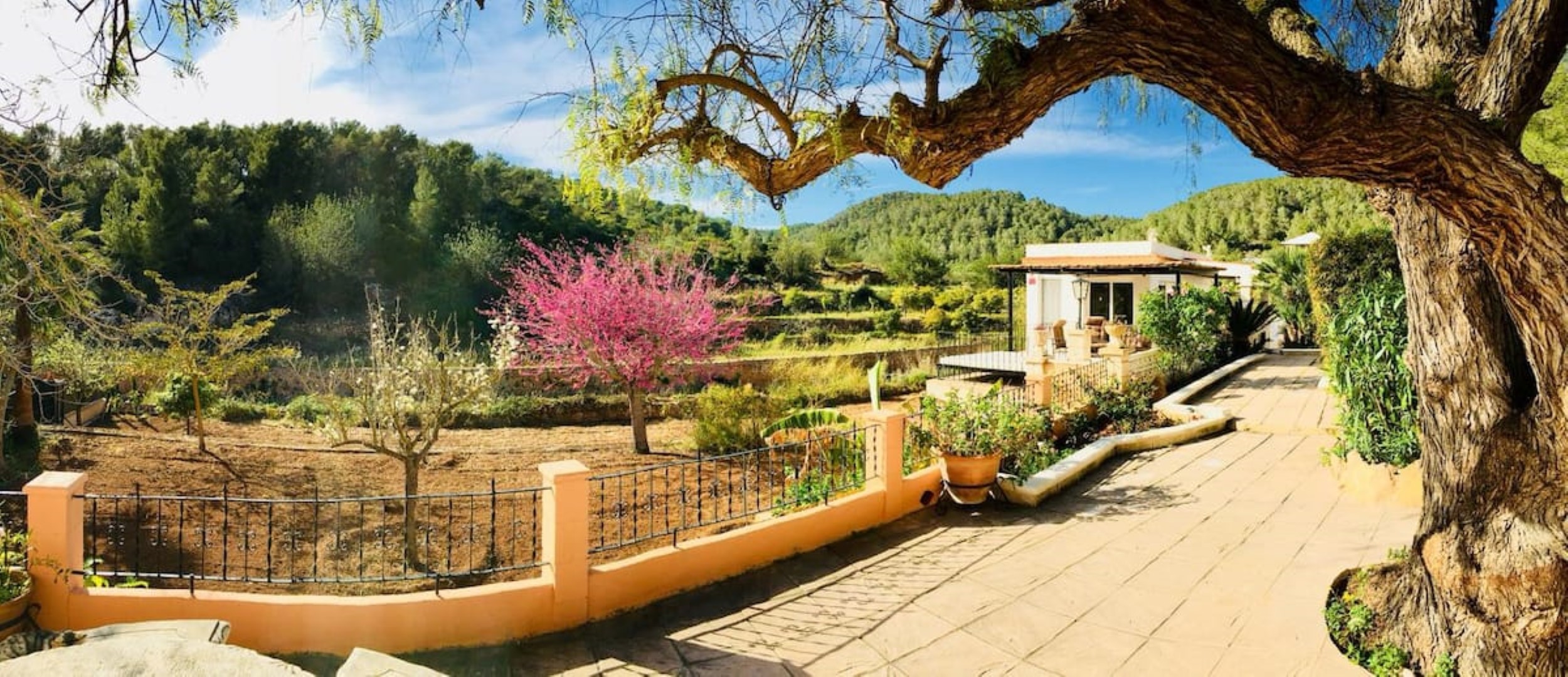 Finca Serena image 4