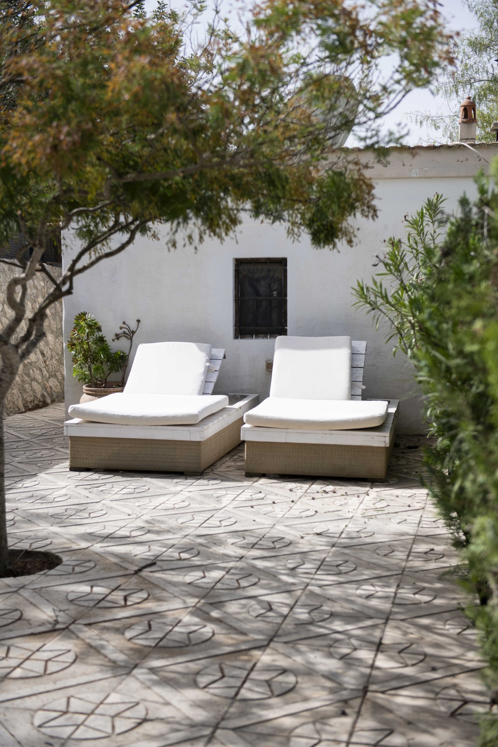 Finca Serena image 33