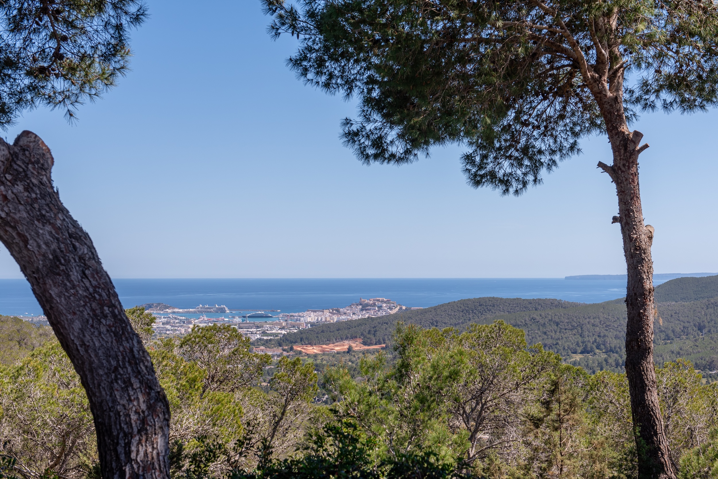 Bella Vista image 92