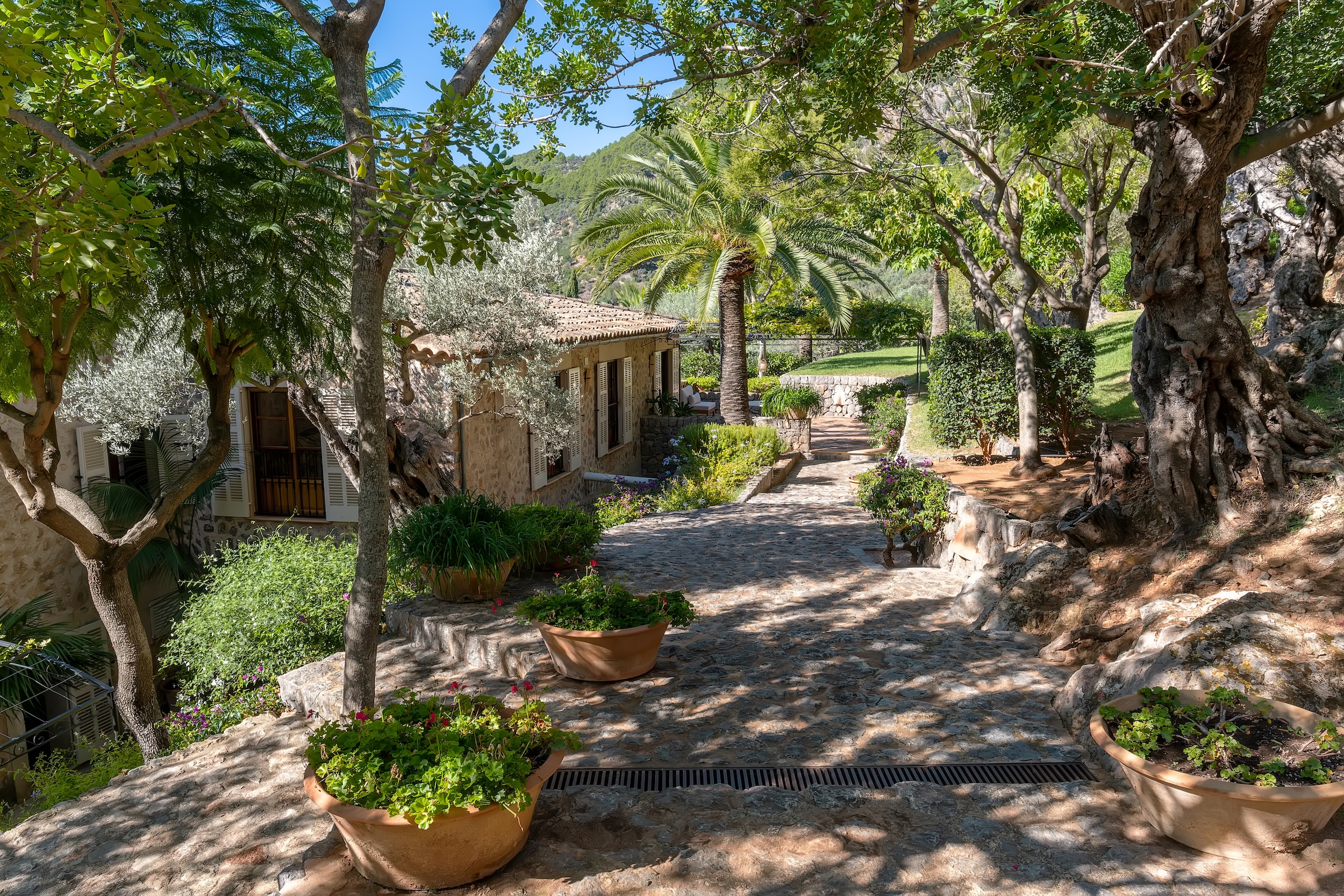Finca De Casa De Campo image 58