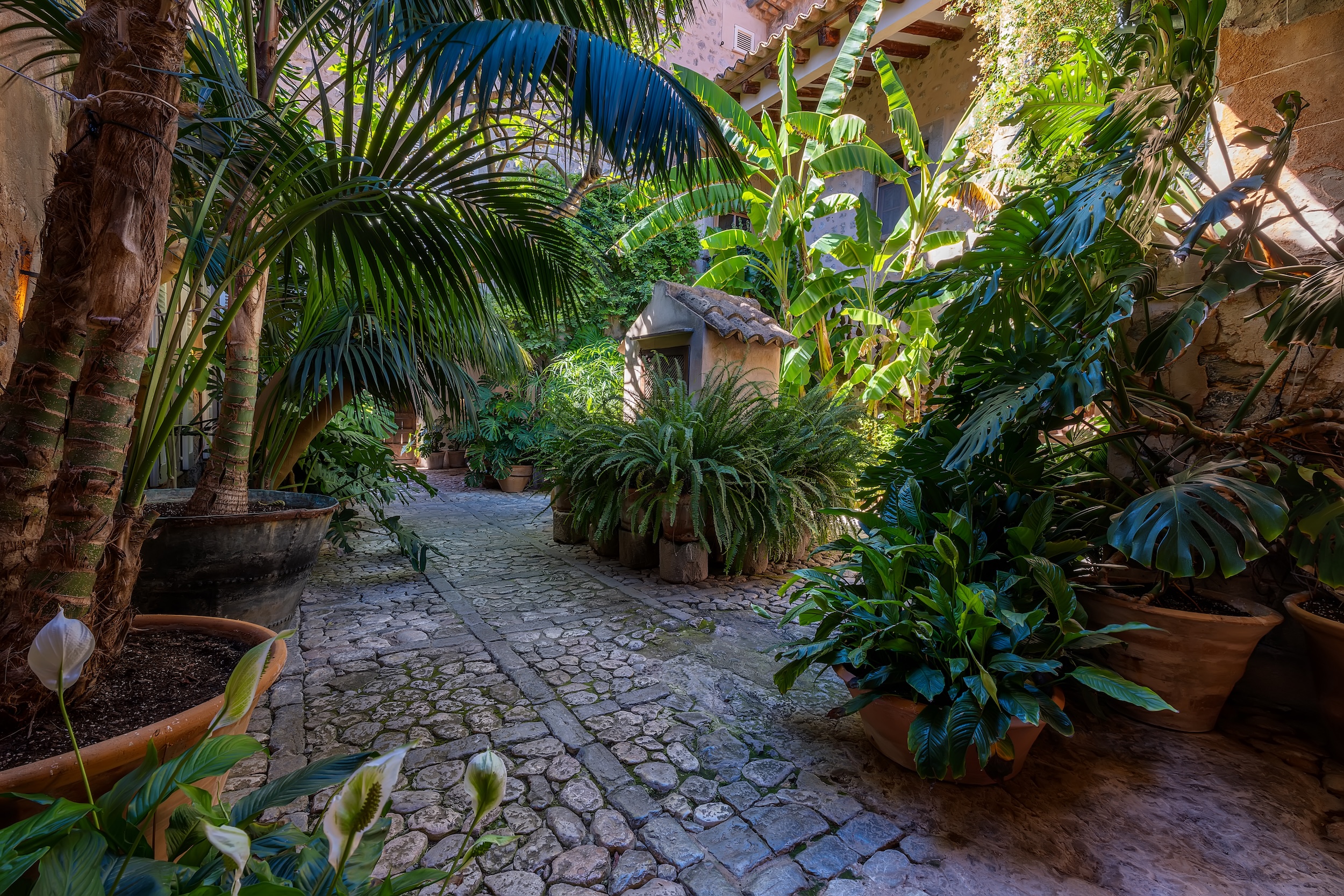 Finca De Casa De Campo image 62