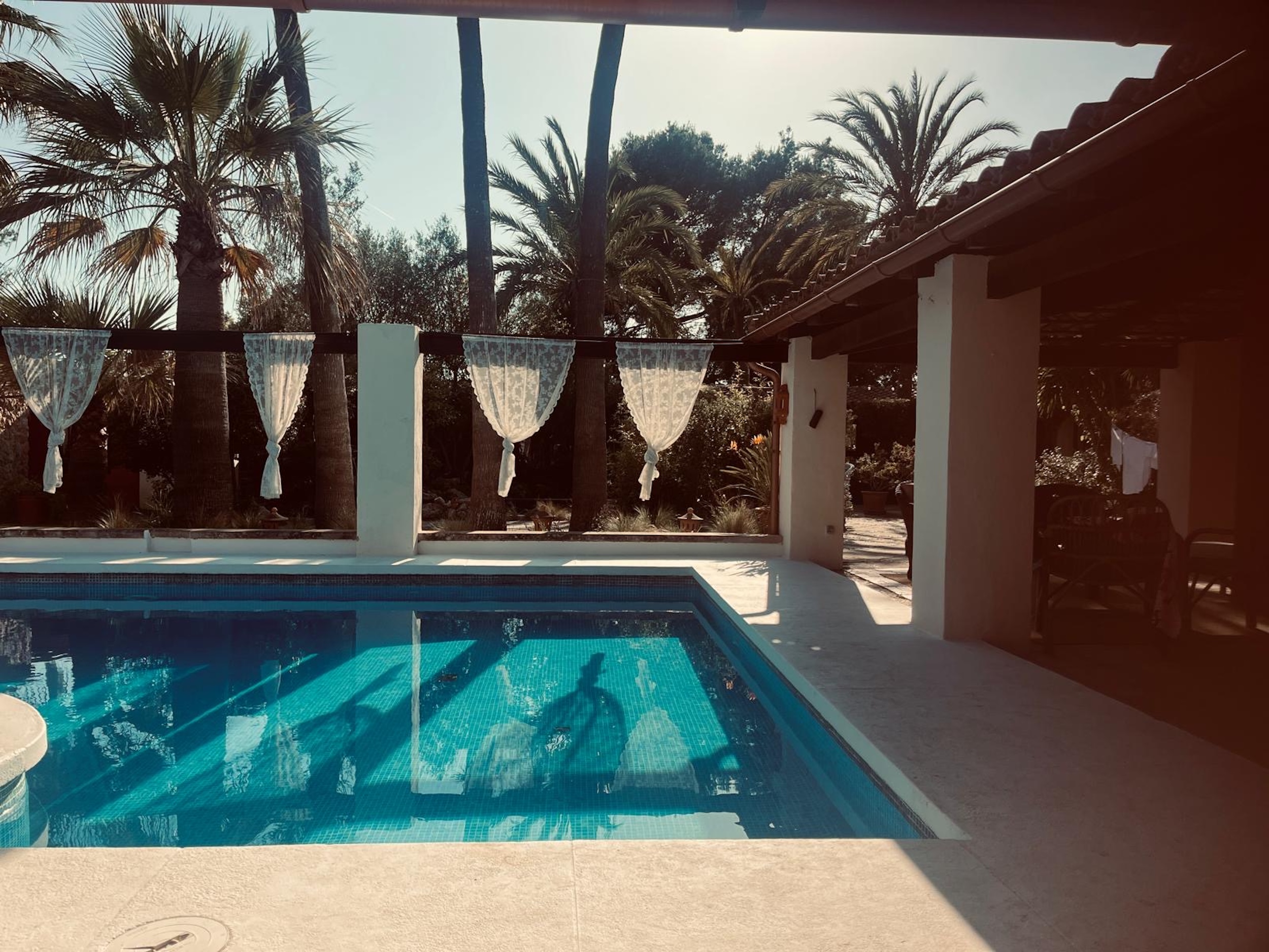 Finca Hania image 3