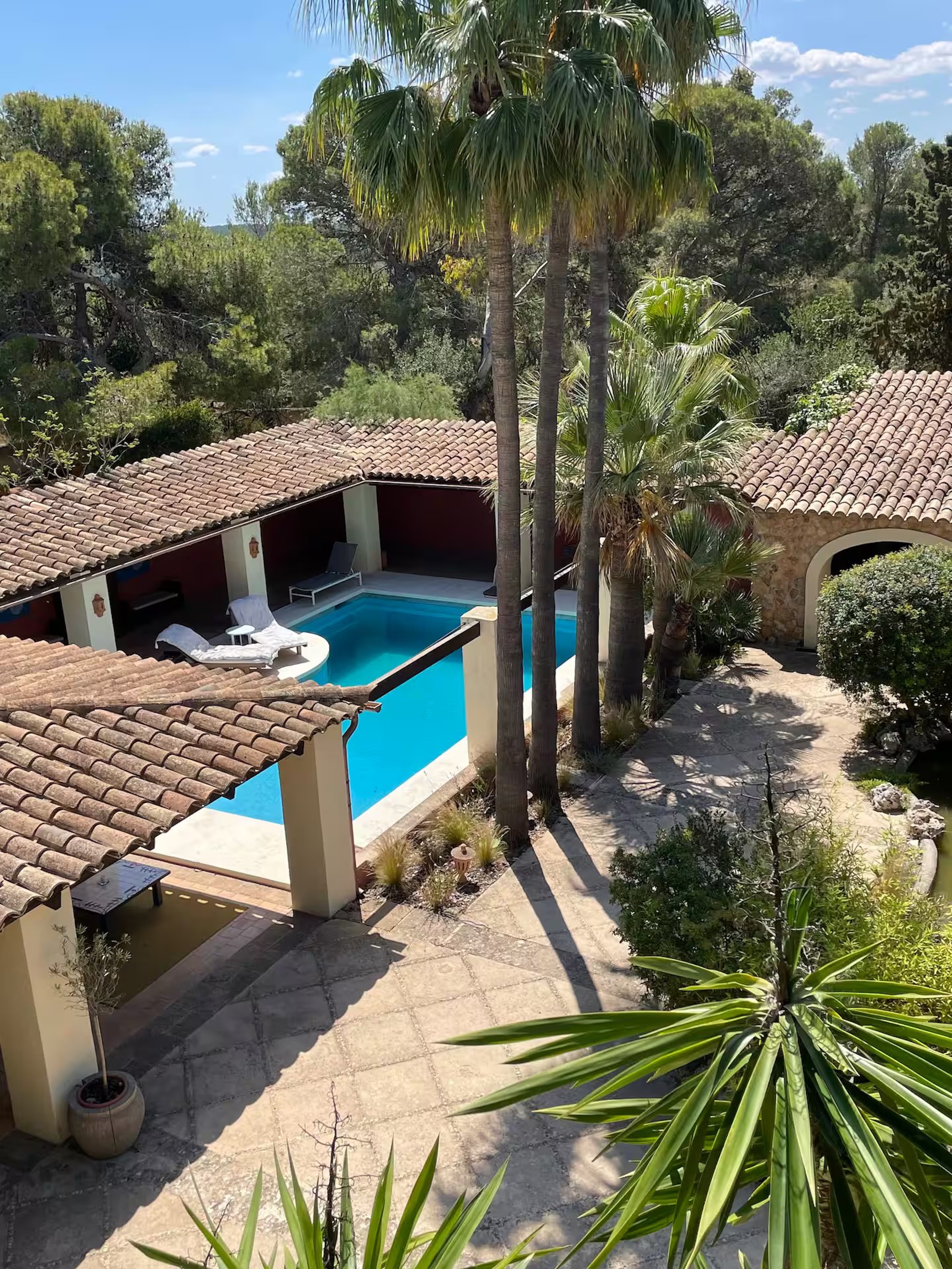 Finca Hania image 5