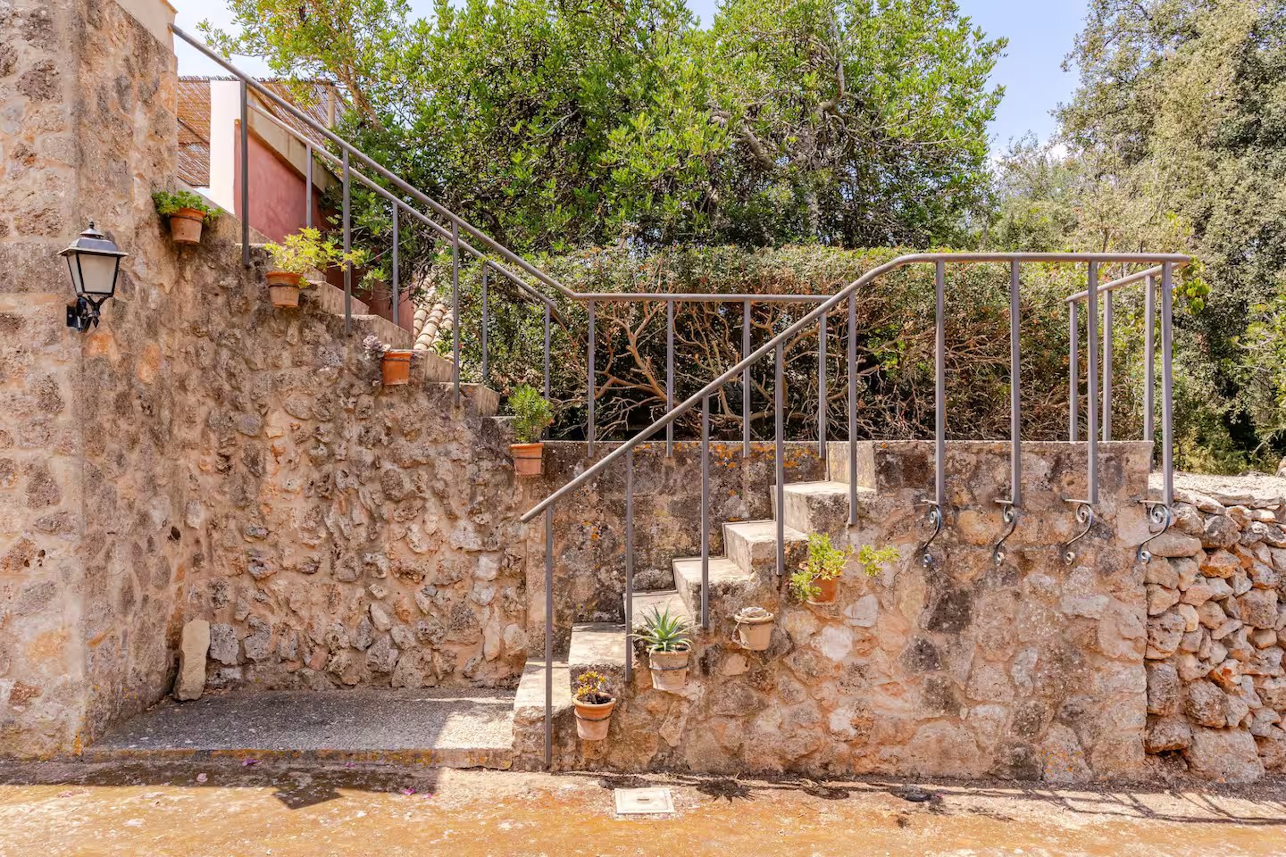 Finca Hania image 45